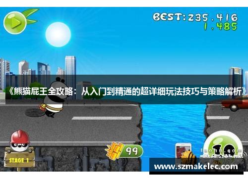 《熊猫屁王全攻略：从入门到精通的超详细玩法技巧与策略解析》