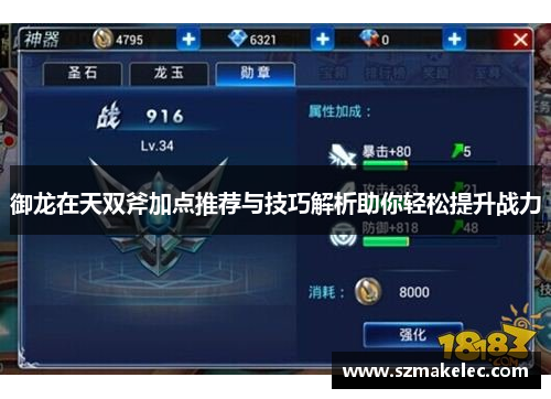 御龙在天双斧加点推荐与技巧解析助你轻松提升战力