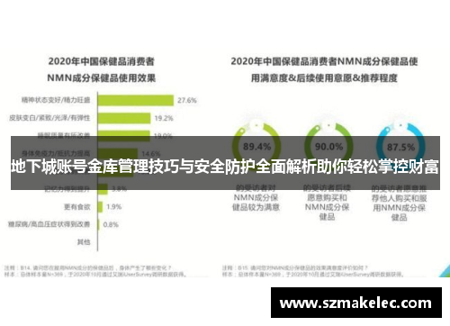 地下城账号金库管理技巧与安全防护全面解析助你轻松掌控财富